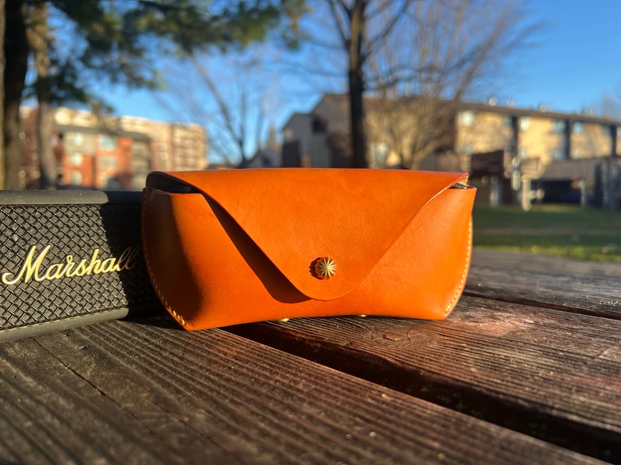 Sunglasses Case